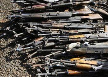 OPINION | Epidemic  of Illicit Arms, By Dakuku Peterside | METROWATCH   