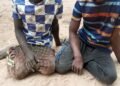 Troops Rescue Victims, Arrest Kidnap Suspects in Taraba | METROWATCH