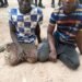 Troops Rescue Victims, Arrest Kidnap Suspects in Taraba | METROWATCH