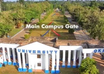 Igbinedion University to Manufacture Electric Vehicles | METROWATCH