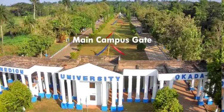 Igbinedion University to Manufacture Electric Vehicles | METROWATCH