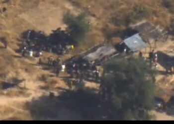 N’East Nigeria: Abu Asad, Ruthless Terrorist Leader, Fighters Killed by Nigerian Air Force  | METROWATCH