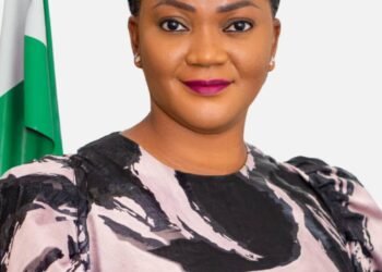 INSIGHT | Coker-Odusote: 100 Days at the Helm of NIMC, By Walter Duru | METROWATCH