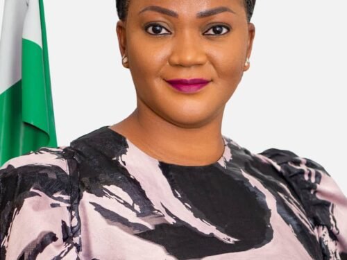 INSIGHT | Coker-Odusote: 100 Days at the Helm of NIMC, By Walter Duru | METROWATCH