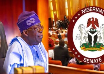 Nigerian Senate Passes N28.7Tr 2024 Appropriation Bill | METROWATCH