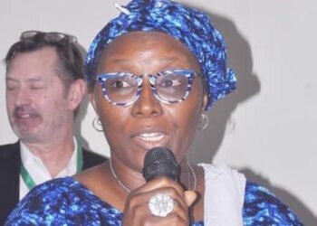 Education: Hanatu Enwemadu Advocates School Age Entry Regulation | METROWATCH