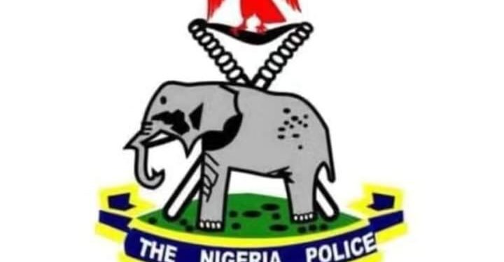 NLC Planned Protest: NPF Affirms Commitment to Protect Protesters’ Rights | METROWATCH