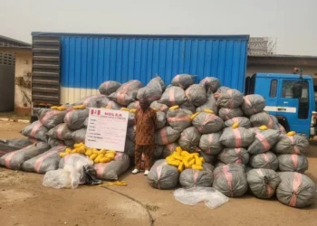NDLEA Intercepts 14.5 Tons of Indian Hemp in Lagos | METROWATCH