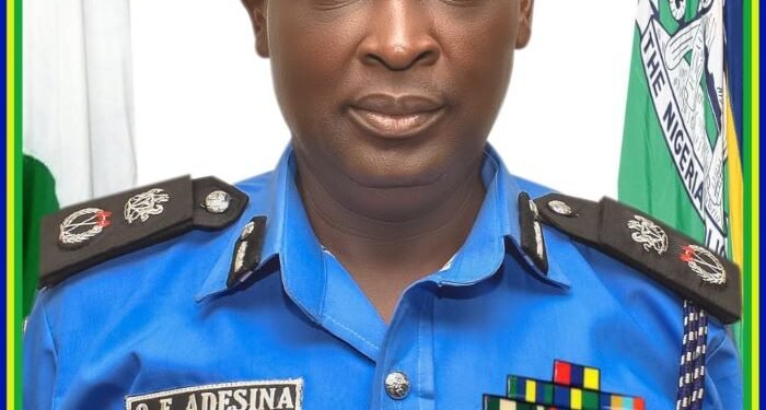 Emmanuel Adesina Assumes Office in Makurdi as Bunue Commissioner of Police | METROWATCH