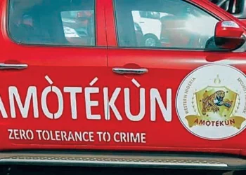 Insecurity: Arewa Economic Forum Seeks Amotekun-like Outfit in Northern Nigeria | METROWATCH