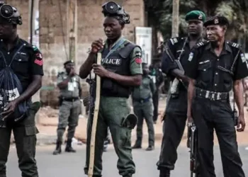 Insecurity: State Police Likely as Tinubu, Governors Brainstorm on Modalities | METROWATCH