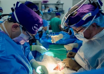 U.S. Surgeons Transplant Pig Kidney into 62-year-old Man | METROWATCH