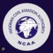 Permit Violation: Nigerian Government’s NCAA Suspends Licences of 3 Private Jet Owners | METROWATCH
