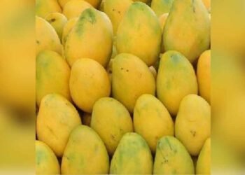 Why You Must Eat Mangoes with the Skin, By Dietician | METROWATCH
