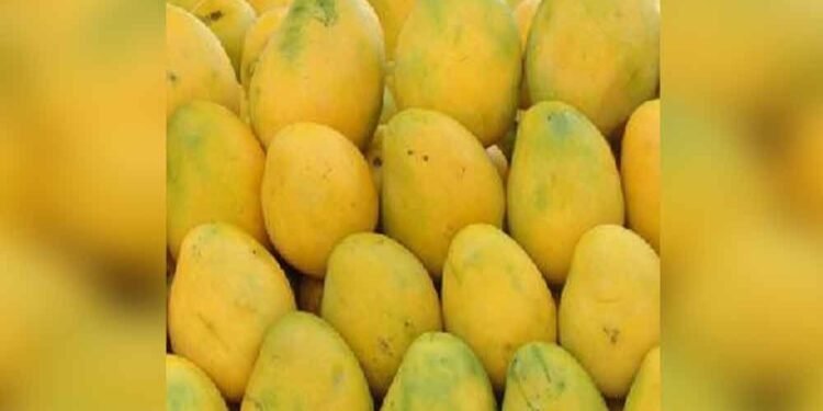 Why You Must Eat Mangoes with the Skin, By Dietician | METROWATCH