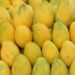 Why You Must Eat Mangoes with the Skin, By Dietician | METROWATCH