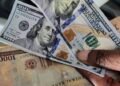 Naira Rebounds, Gains N28.15 against the US Dollar | METROWATCH