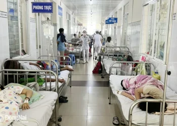 487 People Hospitalised in Vietnam over Suspected Food Poisoning | METROWATCH