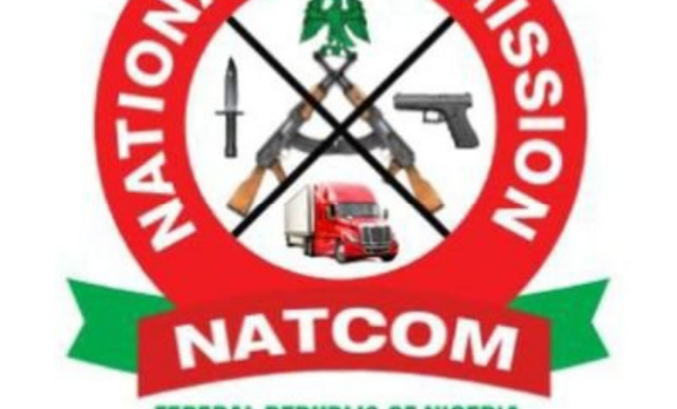 NATCOM Disowns Former Acting Director-General Adejare Adegbenro | METROWATCH