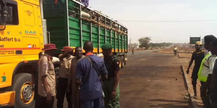 FRSC JTF Arrests 5,169 Passengers Hanging on Animals, Goods — apprehends 362 trailers too | METROWATCH