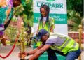 We’ll Be More Decisive in Our Tree Planting Action Going Forward, Says Sanwo-Olu | METROWATCH