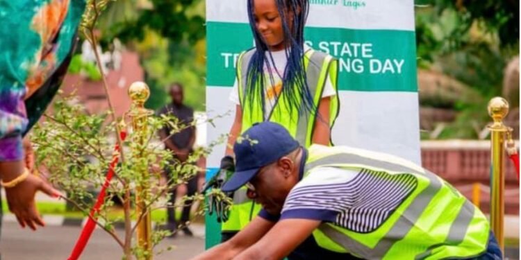 We’ll Be More Decisive in Our Tree Planting Action Going Forward, Says Sanwo-Olu | METROWATCH