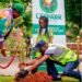 We’ll Be More Decisive in Our Tree Planting Action Going Forward, Says Sanwo-Olu | METROWATCH