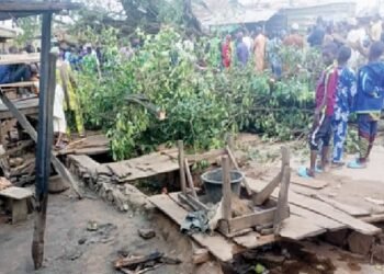 Edo: 4 Killed as Trees Fall on Traders at Jattu Market | METROWATCH