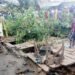 Edo: 4 Killed as Trees Fall on Traders at Jattu Market | METROWATCH