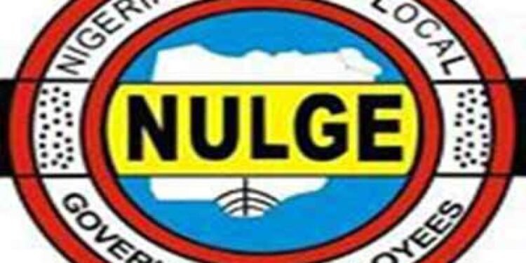 We Declared Fast over LG Autonomy — NULGE on Supreme Court judgement | METROWATCH