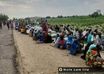 Peace, Hope Blossom in Kukawa as IDPs Return Home | METROWATCH