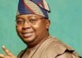 We’re Focused on Expanding Energy Access to  Bridge Poverty Gap, Says Power Minister Adelabu  | METROWATCH