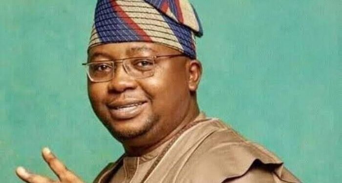 We’re Focused on Expanding Energy Access to  Bridge Poverty Gap, Says Power Minister Adelabu  | METROWATCH