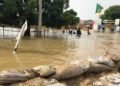 Flood Kills 16 Persons, Submerges 3,936 Households in Jigawa | METROWATCH