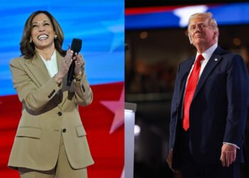 U.S. Election: Why Donald Trump Will Beat Kamala Harris, OPINION By Magnus Onyibe | METROWATCH