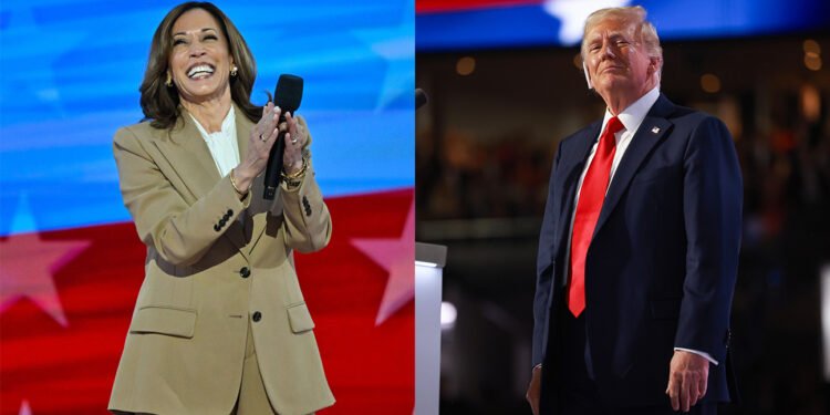 U.S. Election: Why Donald Trump Will Beat Kamala Harris, OPINION By Magnus Onyibe | METROWATCH