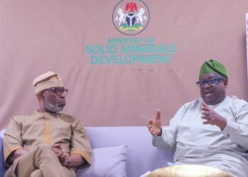 Forensic Audit of Mining Sector Underway, Says Alake | METROWATCH