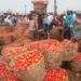 Prices of Tomatoes, Other Perishable Items Crash in Yobe, Borno, Adamawa | METROWATCH
