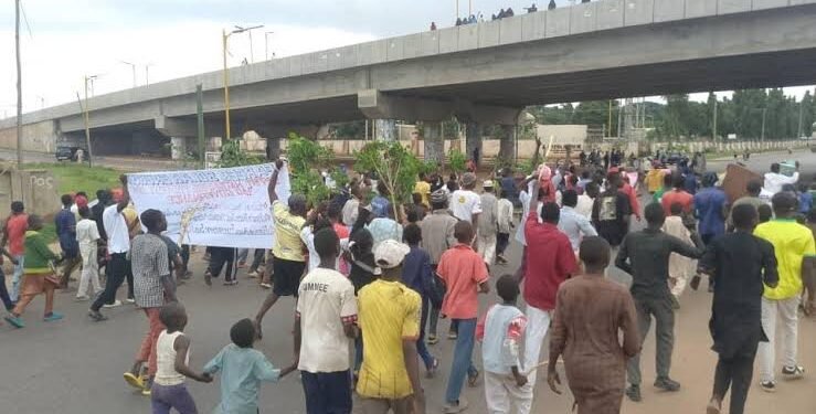 CDS: Media Coverage Encouraging Protesters | METROWATCH