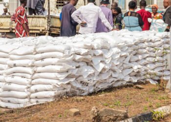 Kaduna, Katsina, Kano Citizens Say Yet to Receive Nigeria Government’s Palliative Rice | METROWATCH