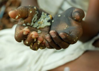 No Food, No Fuel, No Power, No Forex, No Hope, Opinion by Dele Sobowale