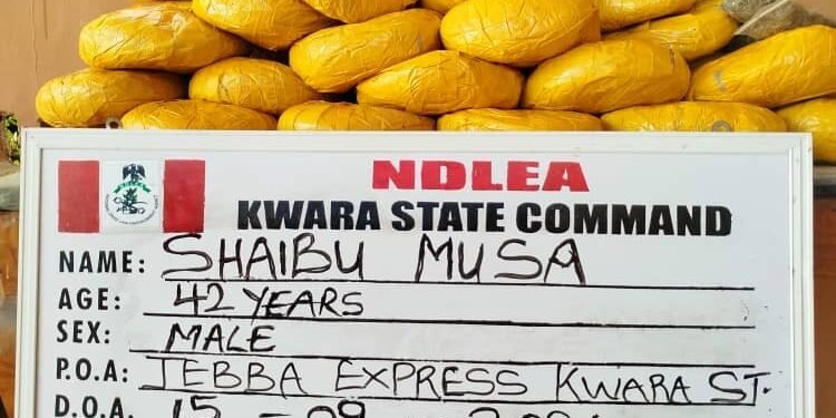 NDLEA Intercepts Hard Drugs Worth N14.9Bn in Fresh Assault on Dealers, Arrests Barons