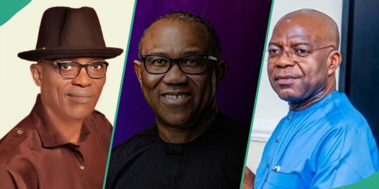 LP Crisis: Abure Withdraws Automatic Party Ticket  From Peter Obi, Otti Against 2027 Election