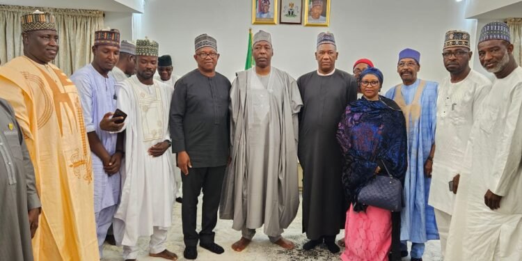 Peter Obi Leads Labour Party to Borno, Donates N50m to Victims of Flood Disaster