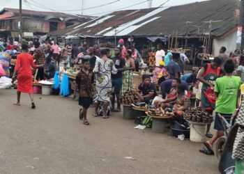 EDO 2024: Traders in Early Morning Transactions at New Benin Market