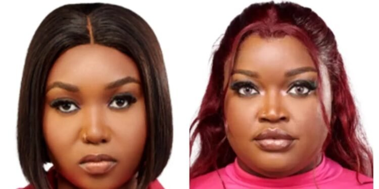 VIDEO | BBNaija: Chinwe, Rhuthee, Dami Return to Show