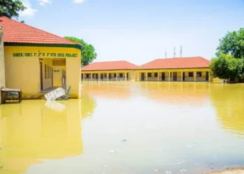 Borno Hit by Worst Flood in 30 years