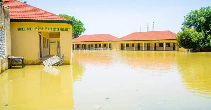 Borno Hit by Worst Flood in 30 years