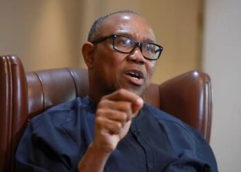 Agricultural Investments will Reduce Poverty, Create Jobs, Address Hunger – Peter Obi