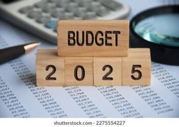 FG Itemizes 2025 Budget Objective, Gives Priority to Security